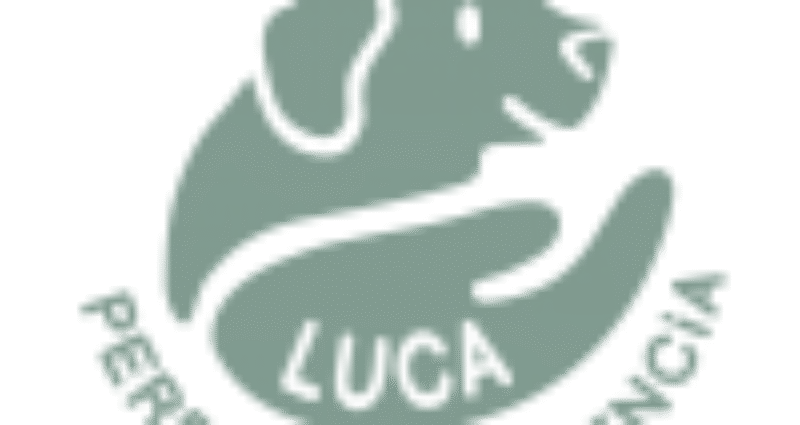 Cartel Legislación