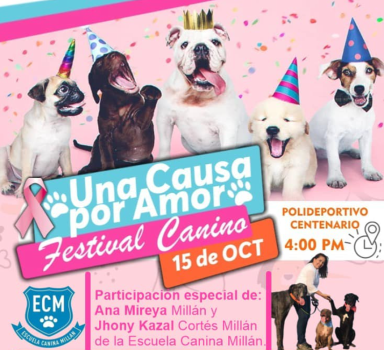 Lee más sobre el artículo Festival Canino “Una Causa por Amor”