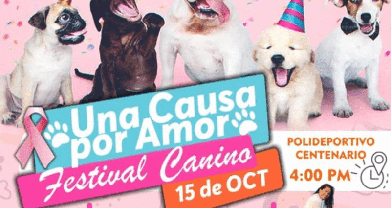 Festival Canino “Una Causa por Amor”