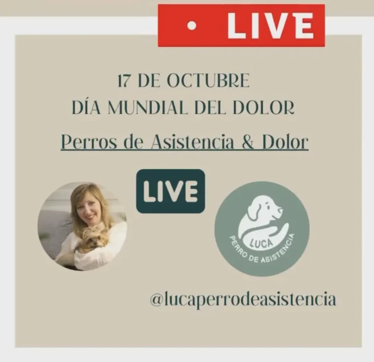Lee más sobre el artículo 💚 17 de Octubre: DÍA MUNDIAL DEL DOLOR