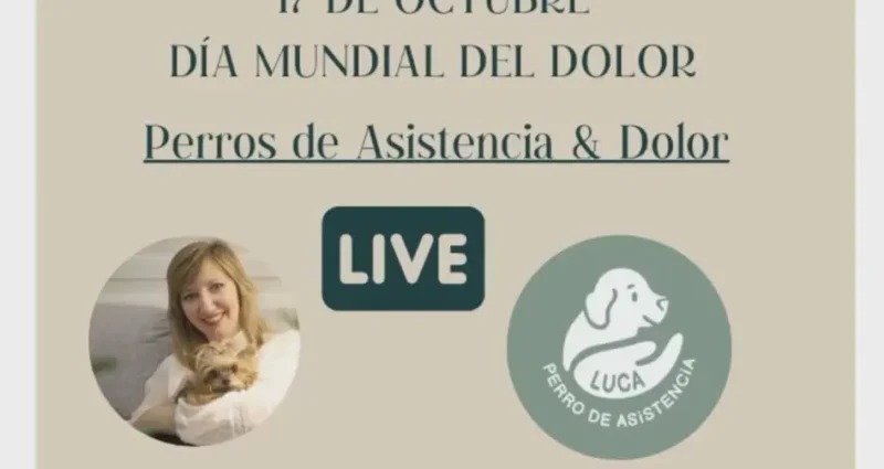 💚 17 de Octubre: DÍA MUNDIAL DEL DOLOR