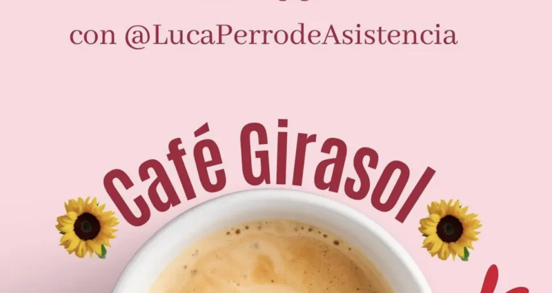 Asociación Quistes Tarlov – Charla sobre Perros de Asistencia