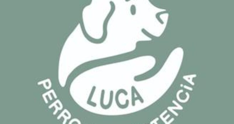 Entrevista de Radio Mollet 96.3 a Isabel Piqueras, fundadora de la iniciativa Luca Perro De Asistencia