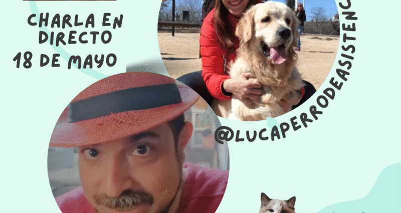 Directo con David @davilicoacho