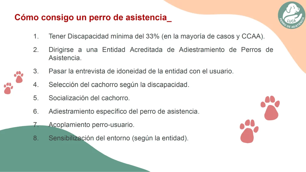 ¿Cómo consigo un perro de asistencia? puntos necesarios para obtener un perro de asistencia.