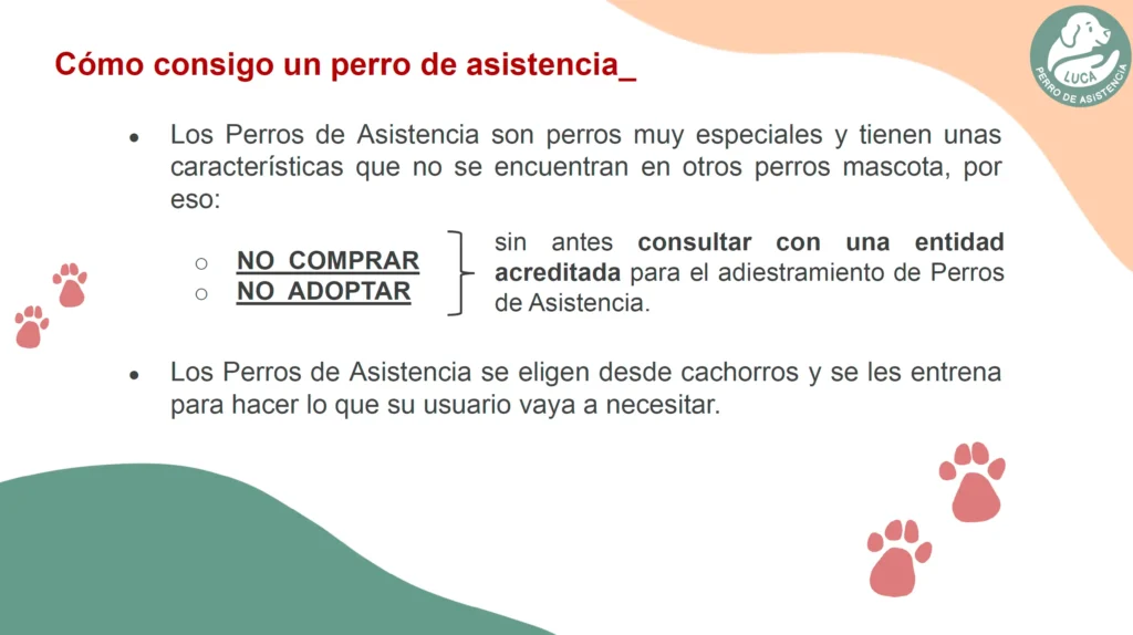 ¿Cómo consigo un perro de asistencia? puntos necesarios para obtener un perro de asistencia.