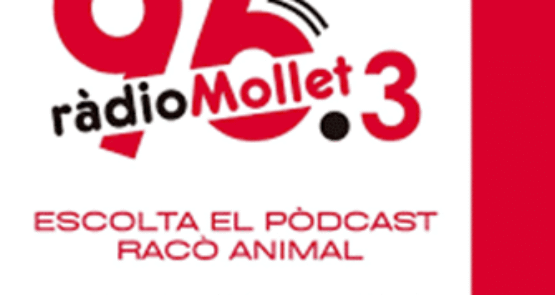 Colaboración de Luca Perro de Asistencia en “El Racó Animal” de Radio Mollet