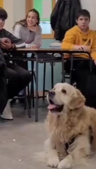 I.E.S. Gloria Fuertes (Alcobendas) – Charla presencial con Luca a chicos y chicas de 13 años.4