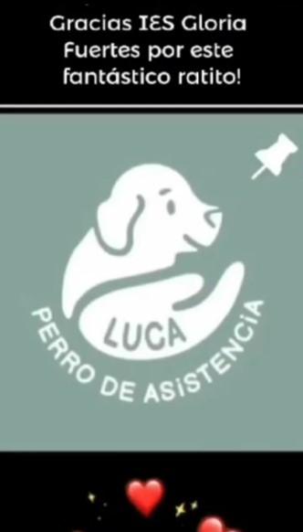 I.E.S. Gloria Fuertes (Alcobendas) – Charla presencial con Luca a chicos y chicas de 13 años.6