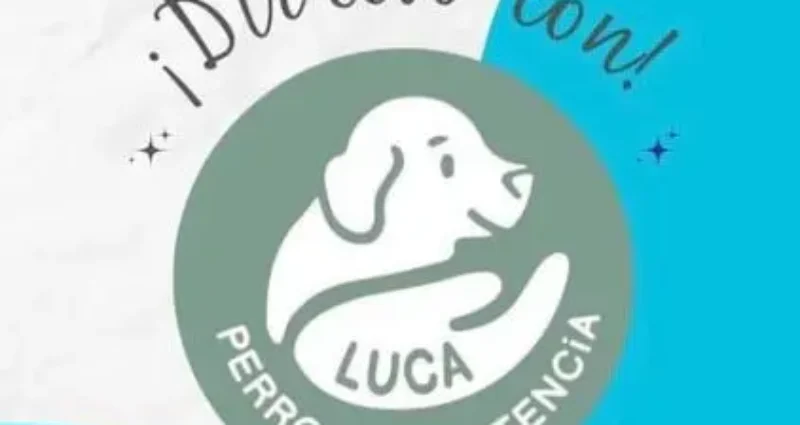 Directo de @RayadaLife y @LucaPerroDeAsistencia en Instagram