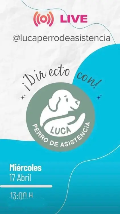 Cartel portada del directo con el logo de Luca Perro de Asistencia en el centro.