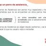 ¿Cómo consigo un Perro de Asistencia?